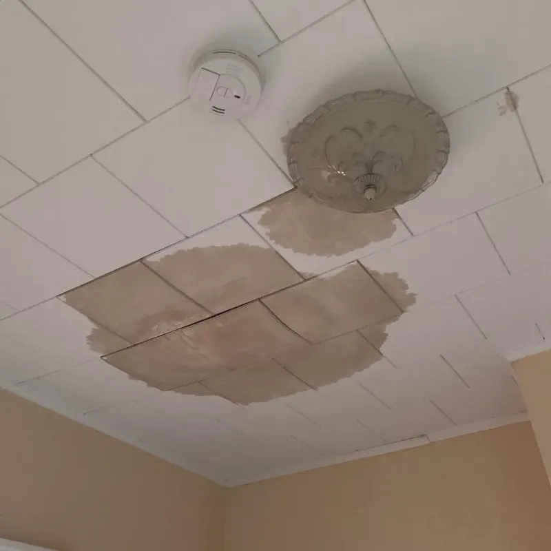 Ceiling Water Damage Repair in Central City, NE