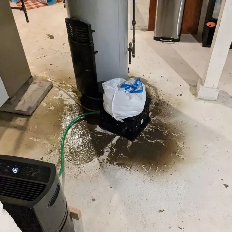 Sewage Backup Cleanup Service in Central City, NE